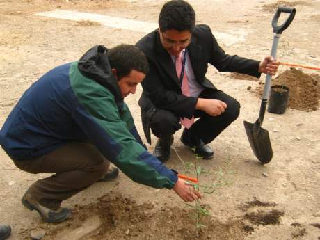 La Conaf y la DGAC plantaron árboles en el aeródromo de Chamonate en