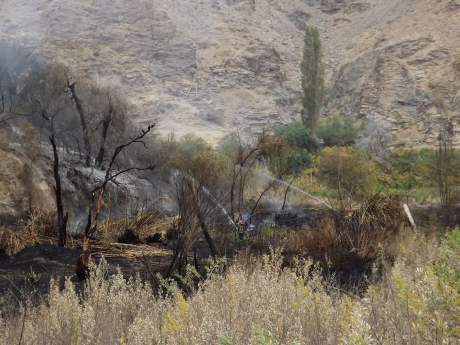 Un incendio forestal afectó el sector La Majada en Alto del Carmen