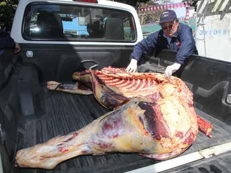 Seremi de Salud Bío Bío ha decomisado más de 5 mil kilos de carne a la