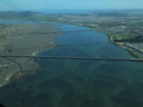 Alga nociva amenaza al río Bío Bío | soychile.cl Alga nociva amenaza al río Bío Bío | soychile.cl