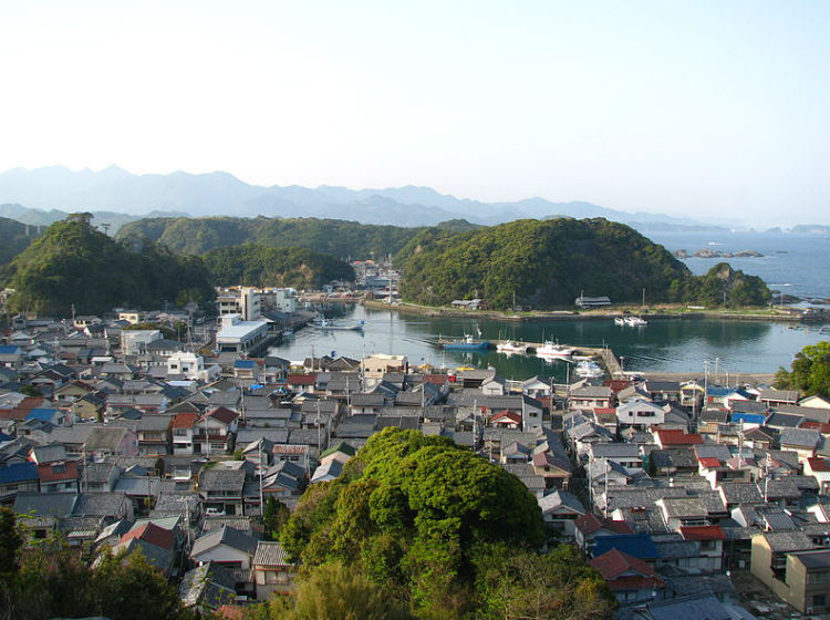 Ciudad japonesa conocida por cazar delfines abrirá un parque acuático