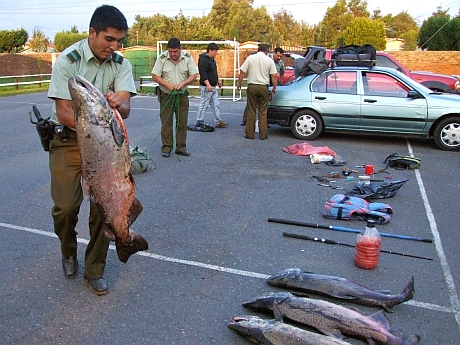 Con guardaparques y carabineros intentan evitar la pesca furtiva