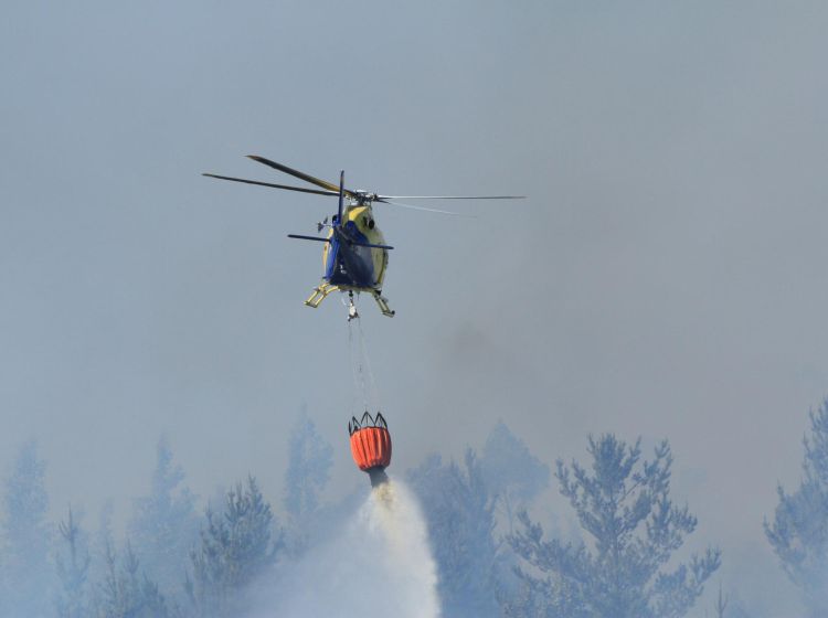 La Onemi Declaró Alerta Amarilla En Alto Bío Bío Por Incendio Forestal