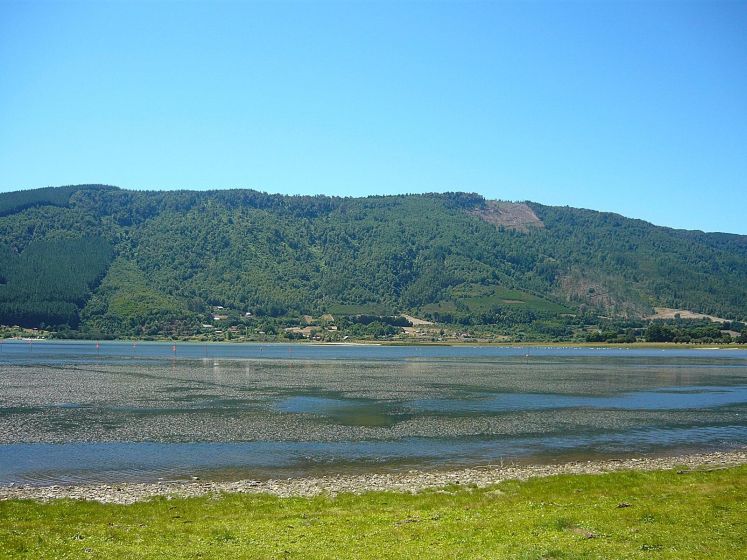 El Lago Lanalhue tiene un desagradable visitante: las algas se tomaron el balneario El Lago Lanalhue tiene un desagradable visitante: las algas se tomaron el balneario