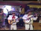 Damon Albarn organiza homenaje de mariachis para Paul McCartney