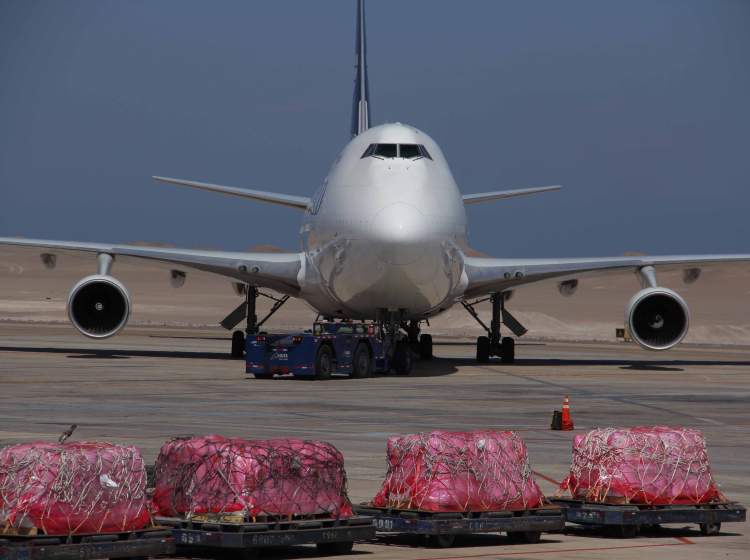 Más de 7 mil toneladas de maíz serán exportadas desde Iquique a Estados Unidos en la Operación Semilla 2014