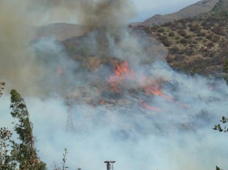 Incendio en el Cajón del Maipo deja un muerto y 20 personas evacuadas