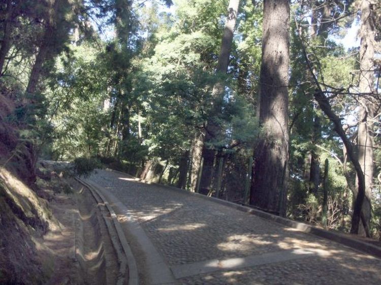 Cerro Caracol: en julio comenzarían las obras de la primera etapa del Parque Metropolitano