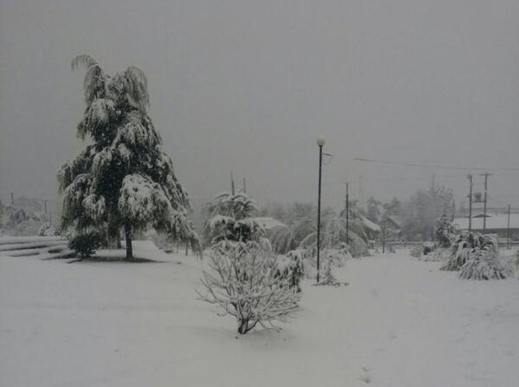 La nieve dejó a más de 1500 personas aisladas en Alto Bío Bío