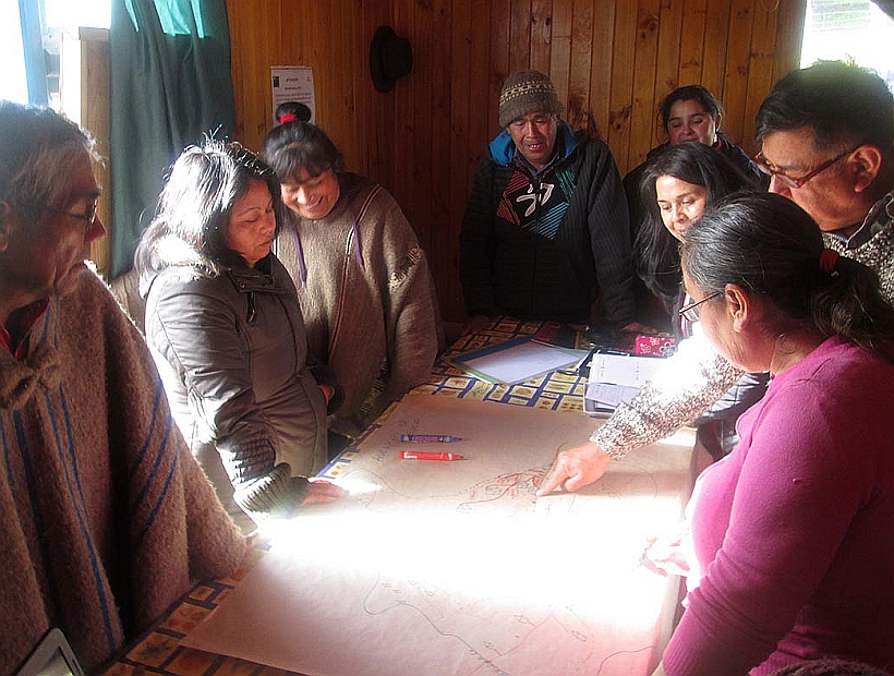 Financian proyectos de preservación del bosque nativo basados en la cosmovisión mapuche