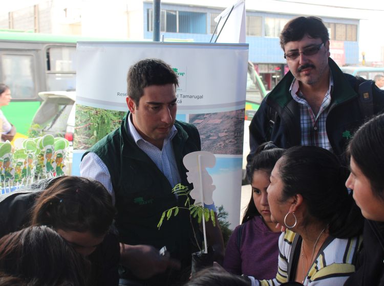 La Conaf entregó 130 árboles a vecinos de Alto Hospicio