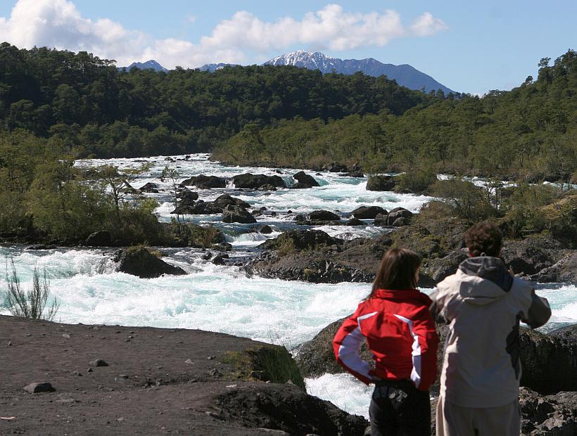 Municipio de Puerto Varas firmó acuerdo para proteger el salmón Chinook