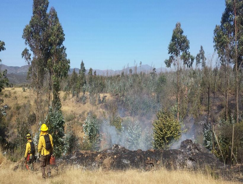 Onemi Declaró Alerta Amarilla Para La Comuna De Cartagena Por Incendio