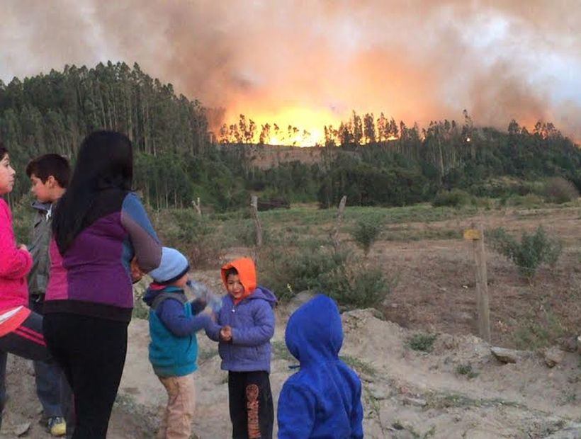 Detuvieron el avance de las llamas del gigantesco incendio forestal de Laraquete