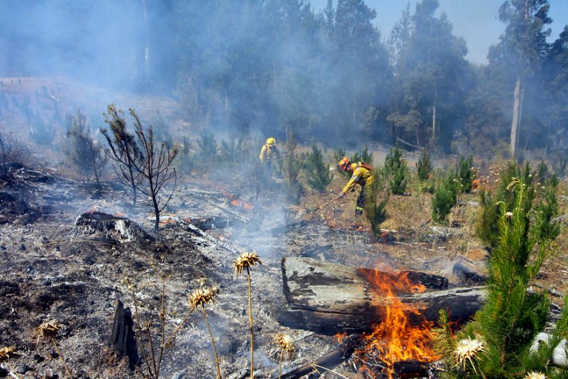 Nuevo Balance De Incendios Forestales Hay Nueve Alertas Rojas Y Más De 9500 Hectáreas 7574