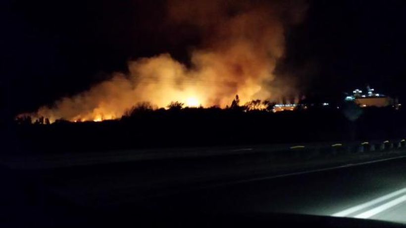 La Onemi Decretó Alerta Roja En Quillota Por Un Incendio Forestal En El