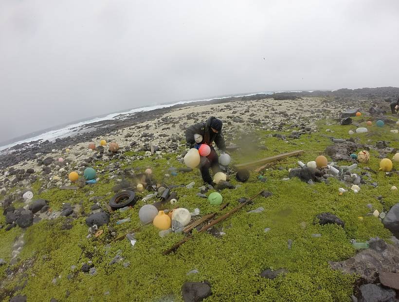 Cerca De Dos Toneladas De Residuos Retiraron De La Costa De La Isla