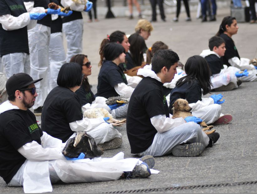 Unos 400 activistas veganos se manifestaron en la Plaza Italia con animales muertos