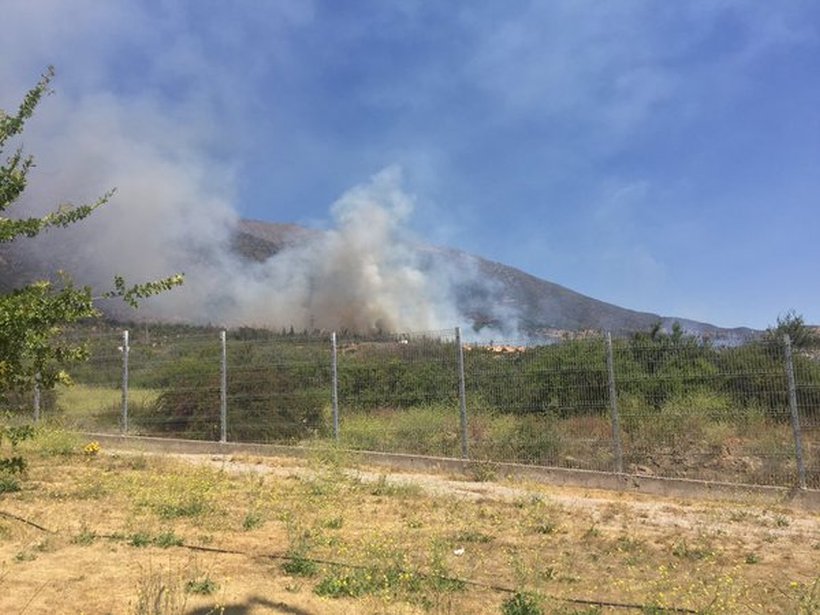 Bomberos trabaja en reactivación de un incendio forestal en Alto Macul
