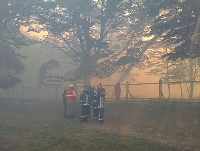 Declararon alerta roja por un incendio forestal en Punta Arenas