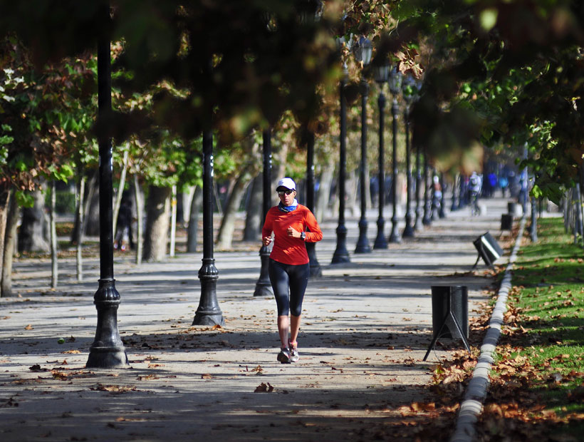 Los secretos y ventajas de la training mask Los secretos y ventajas de la training mask