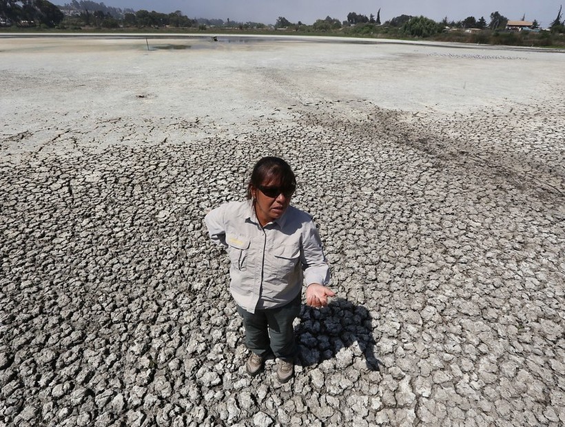 Galería de imágenes: la triste realidad de la seca Laguna El Peral de El Tabo