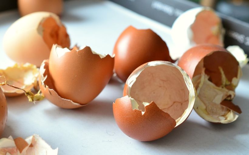 Descubre en qué te puede ayudar la cáscara de huevo