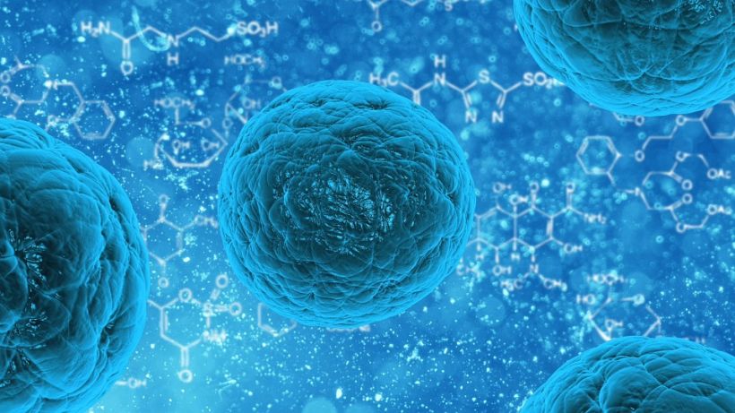 La nueva tendencia de usar células madres para fines estéticos