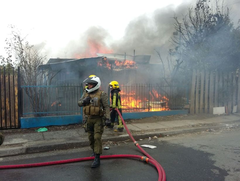 Los Cachorros Que Fueron Enterrados Durante Un Incendio Est N Bien Y Se