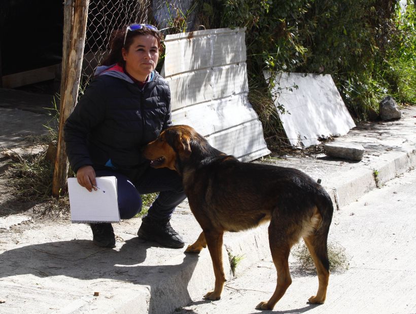 cuerpo perrito cuerpo perrito