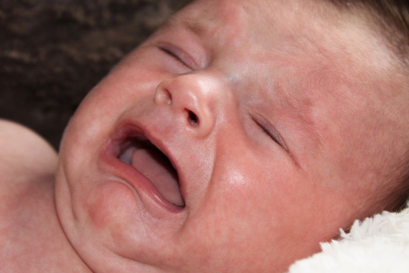 ¿Qué les pasa a los bebés cuando los dejas llorar?
