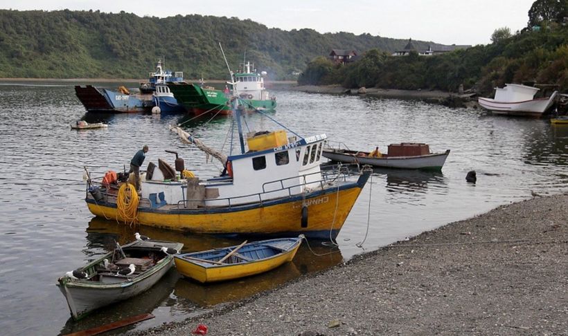Marea roja: Subsecretario de Pesca aseguró que se monitorea a diario para poder abrir zonas afectadas