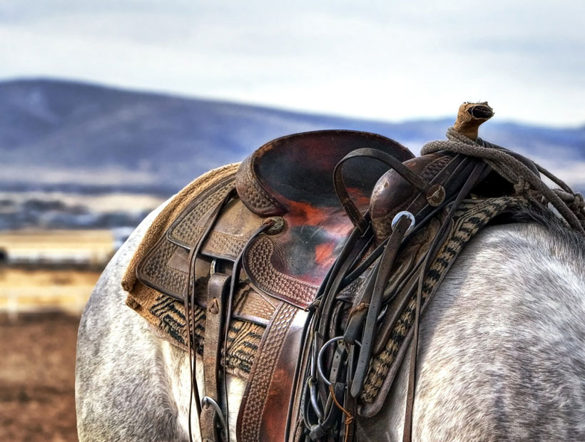 Ridley Scott dirigirá su primer western
