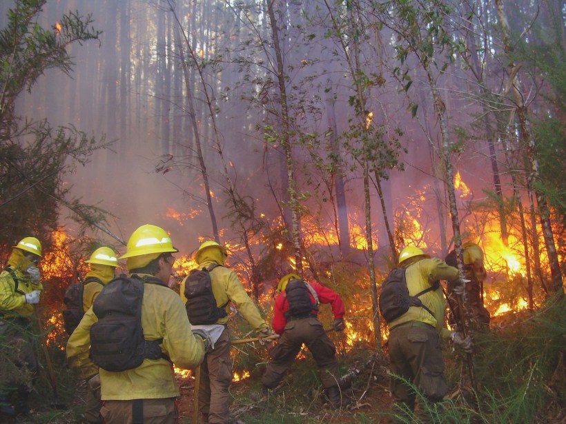 Una buena: Chile bajó en 15% los incendios forestales