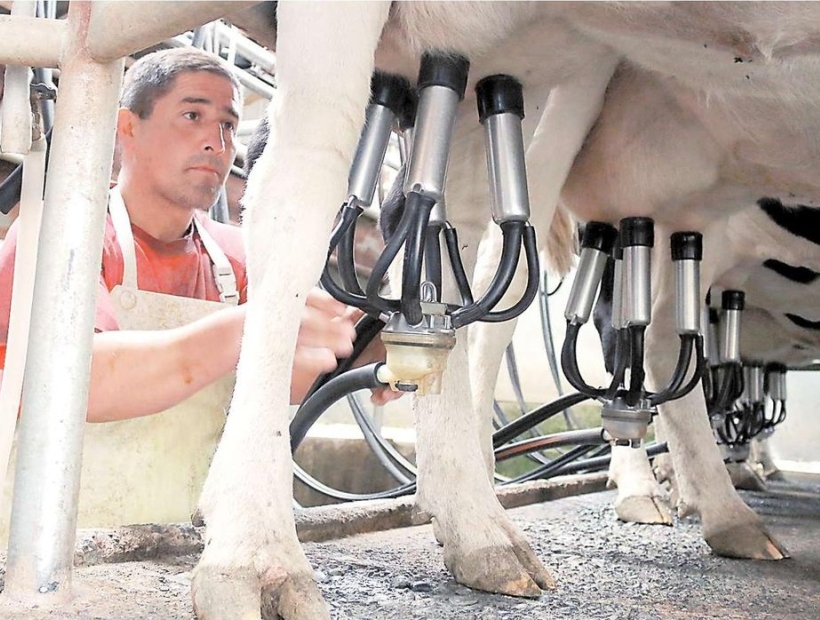 Tribunal decretó abandonada la causa de lecheros contra industria