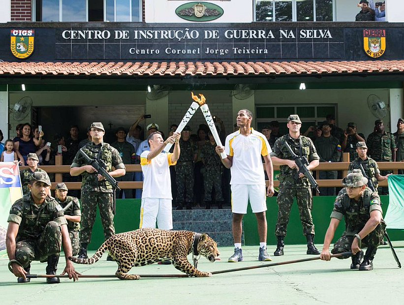 Brasil: mataron a jaguar que participó en una ceremonia olímpica