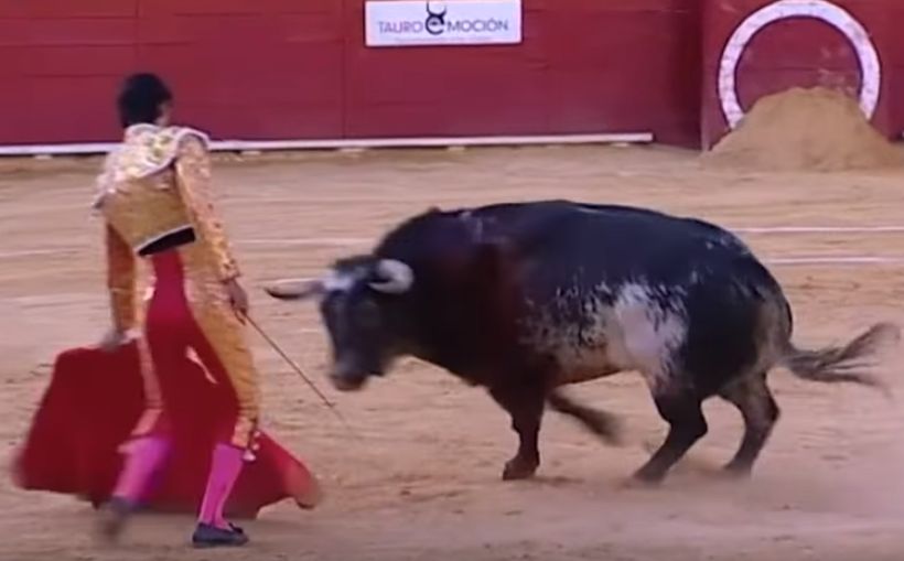 Video muestra la fatal cornada que recibió un torero en España