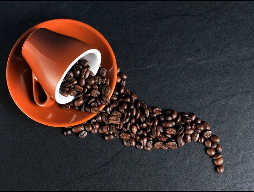 ¿Fin al café? estudio dice que podría desaparecer el 2080
