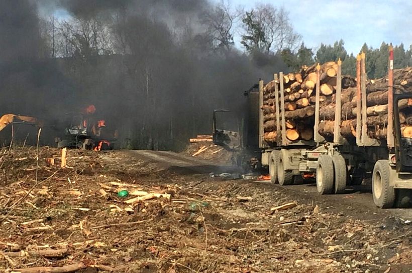 Encapuchados quemaron maquinaria y camiones en un predio forestal de Loncoche
