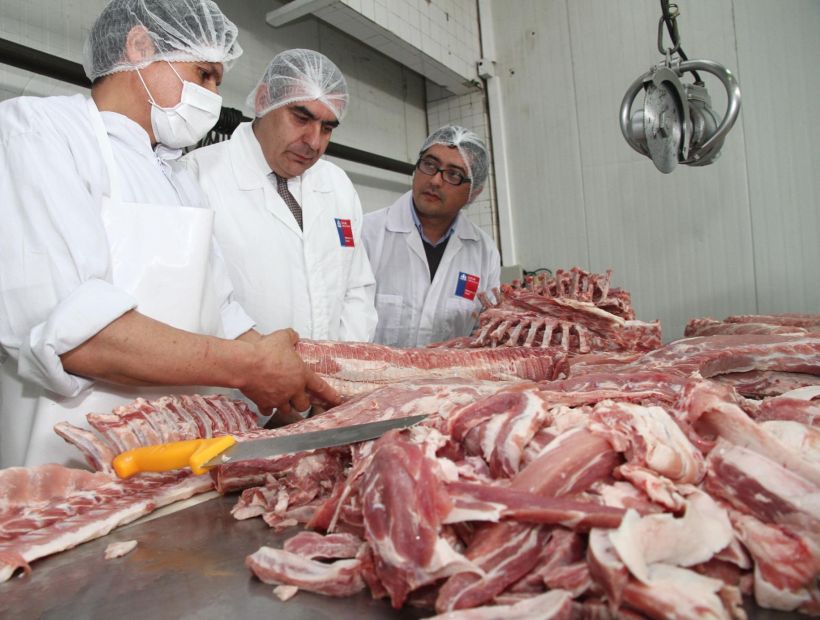 Autoridades del Biobío han decomisado más de una tonelada de carne en la previa del 18