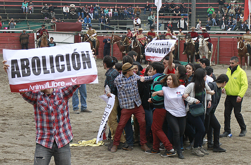 Activistas contra el rodeo irrumpieron en el Parque Alberto Hurtado de La Reina