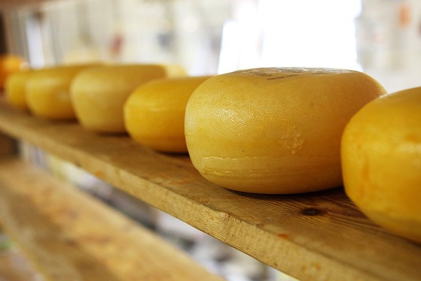 Comer queso aumenta el colesterol bueno y previene enfermedades cardiovasculares