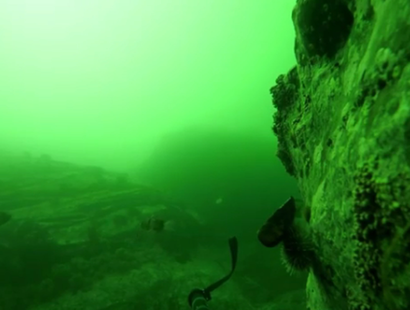 Se encontró una GoPro en el fondo marino y publicó el último registro de la cámara