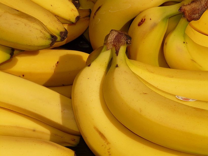 La enfermedad que amenaza con acabar con el plátano como lo conocemos (otra vez)