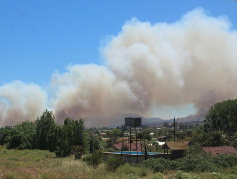 La Conaf logró controlar algunos de los incendios forestales que afectan al país