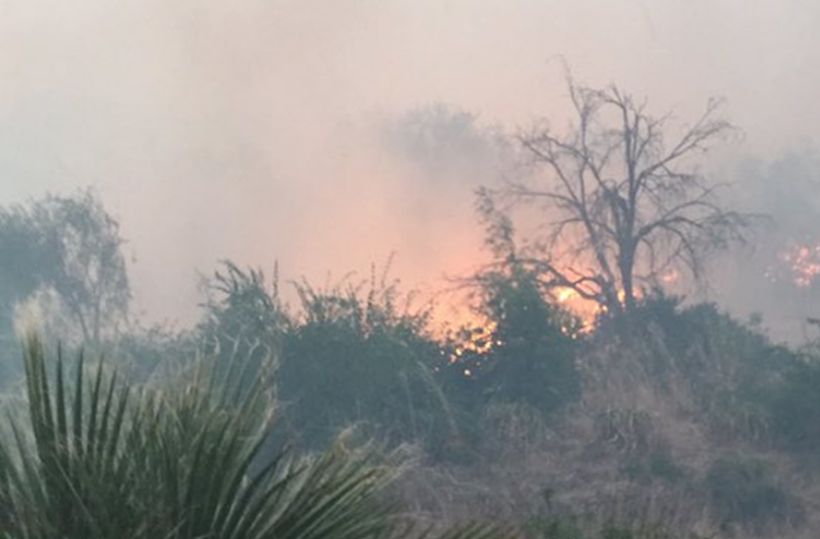 Incendio forestal en Peñaflor ha consumido 400 hectáreas de pastizales