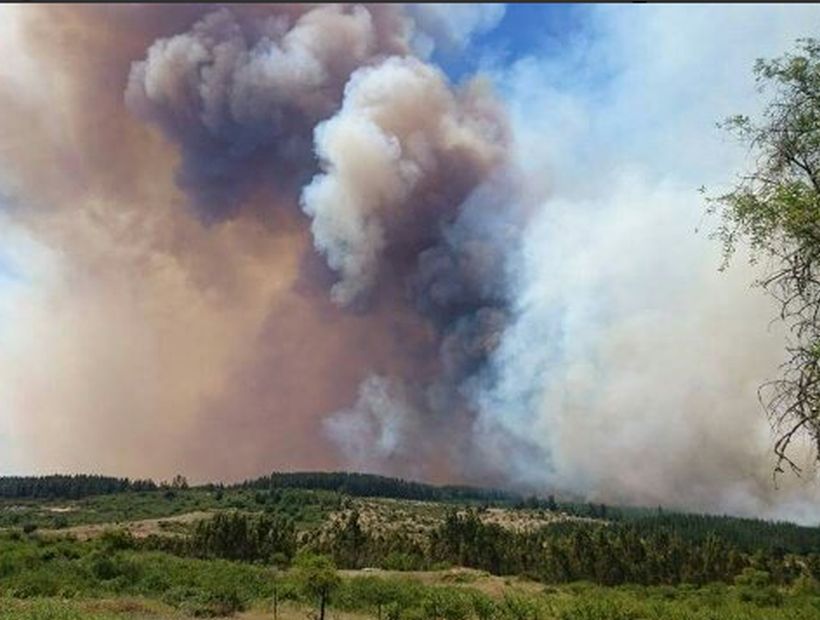 Alerta roja para la comuna de Litueche por incendio forestal: hay cortes en suministro eléctrico