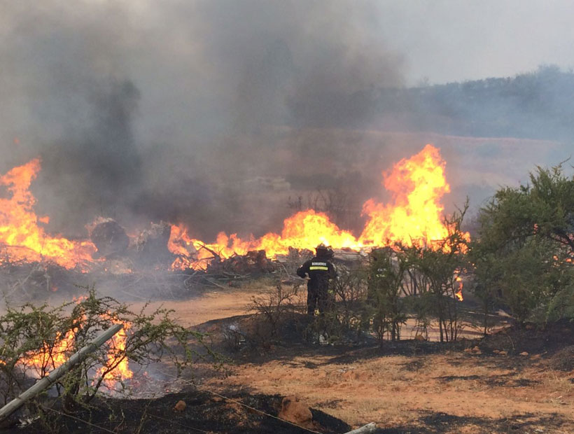 Conaf: hay 48 incendios activos en todo el país