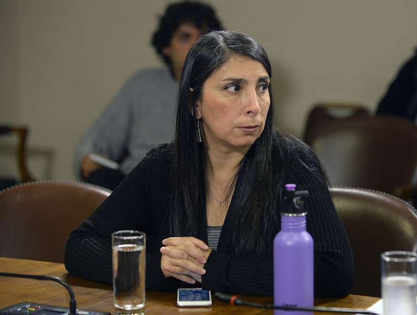 Karla Rubilar y la denuncia del alcalde de Renca contra Vicky Barahona: 