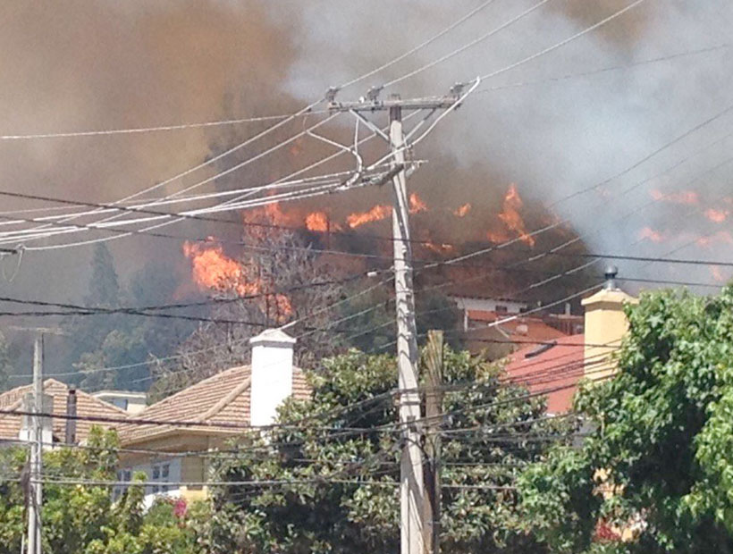 Incendio forestal en Viña fue controlado: dos casas afectadas Incendio forestal en Viña fue controlado: dos casas afectadas